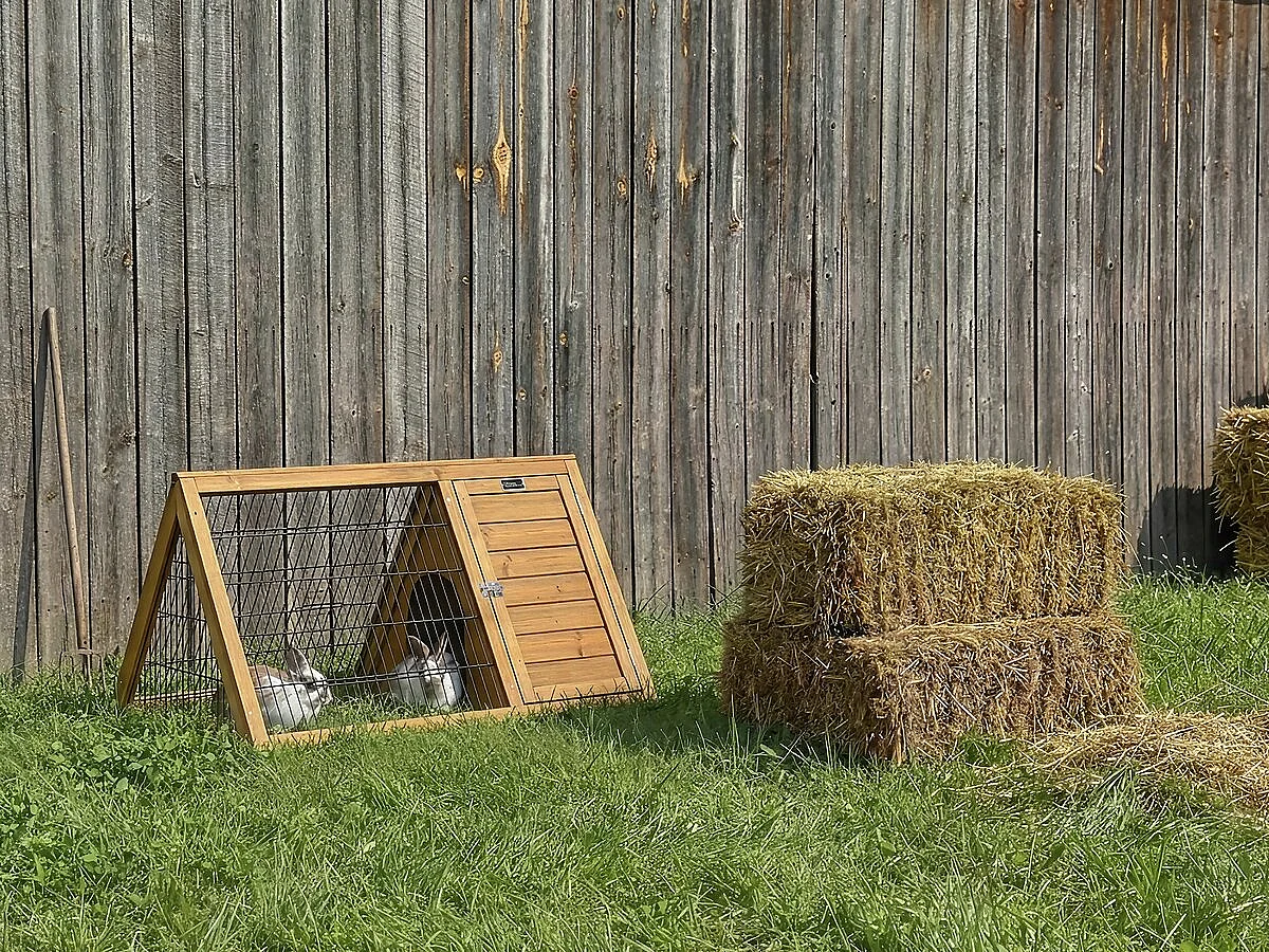 Hutch „Biscotte” – 100 x 62 x 52 cm – Brązowy 4822847